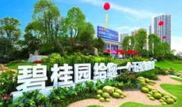 鹿寨碧桂园爆料最新消息,揭秘项目进展与亮点