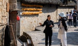 乡土在线观看,探寻乡村魅力，感受家乡变迁