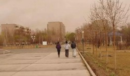 塔里木大学爆料新闻,揭秘校园热点事件背后的真相