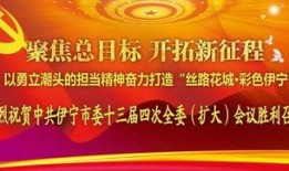 央视新闻爆料伊宁县