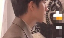 王俊凯狗仔爆料视频,揭秘明星私生活瞬间