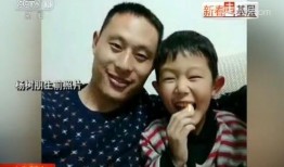 杨爸飞棍最新爆料,揭秘娱乐圈惊人内幕