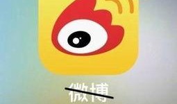 六一娱乐爆料微博,明星幕后故事大揭秘！”