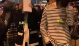 小说娱乐圈最近的爆料,爆料揭秘明星背后的秘密