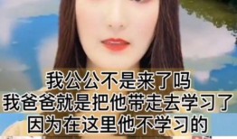 娱乐大爆料朱小伟小说,朱小伟小说中的璀璨星途