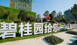 碧桂园爆料最新消息恒大,碧桂园独家爆料揭示发展新篇章”