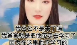 娱乐大爆料朱小伟小说,朱小伟小说中的璀璨星途