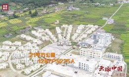 新闻爆料凉山最新消息,火灾救援进展及当地应对措施揭晓