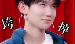 王源吃瓜爆料娱乐节目叫什么,揭秘热门娱乐节目幕后真相