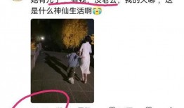 大网红爆料渣男视频下载,视频曝光引发网友热议