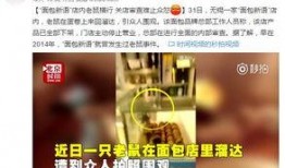 深圳房东胡女士爆料视频,视频爆料引发社会关注
