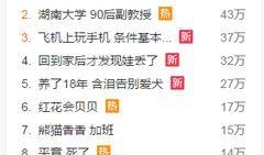 爆料新闻的音乐,爆料新闻背后的音乐力量