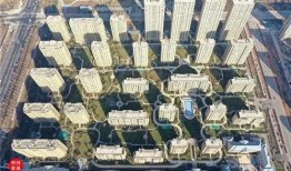 齐河绿城爆料事件视频