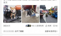 袁记云饺店员爆料视频,袁记云饺背后的秘密