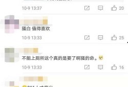 骚白最新爆料网站,揭秘神秘网站背后的秘密