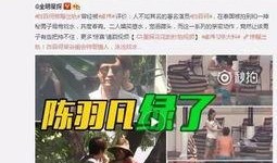 东北录音爆料出轨视频,视频曝光惊人细节
