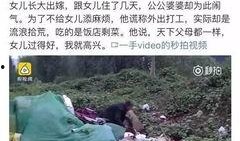 武山一中爆料事件视频,真相与争议的交织