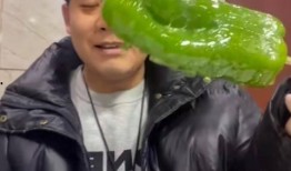 西昌吃瓜事件网红视频,网红视频引发的网络狂欢与反思