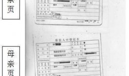 宠物黑料爆料视频大全下载,视频大全下载背后的真相