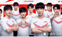 世界赛战队爆料视频下载,独家爆料视频深度解析