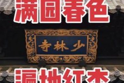 佛教热点爆料新闻,揭秘神秘爆料背后的真相