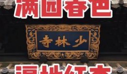 佛教热点爆料新闻,揭秘神秘爆料背后的真相