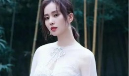 刘诗诗娱乐爆料,揭秘明星幕后故事