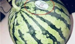 八卦网红吃瓜是谁,揭秘网络红人的幕后故事