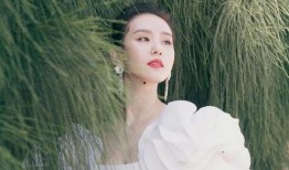 刘诗诗娱乐爆料,揭秘明星幕后故事