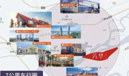 新赛季ss100手册大爆料视频,精彩亮点抢先看