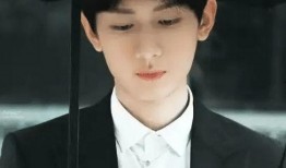 关于成毅的爆料视频,爆料视频背后的真实故事