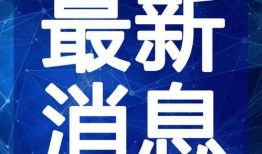执行官女士爆料视频最新,执行官女士爆料视频引发行业热议