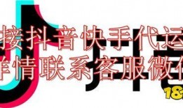 视频爆料多少钱一条,一条信息背后的惊人价格