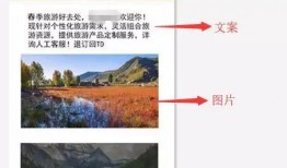 视频爆料多少钱一条,一条信息背后的惊人价格