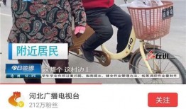 河北今日资讯栏目爆料,揭秘最新热点事件，带你了解河北最新动态