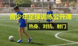 男子爆料足球视频大全,足球视频大全揭秘精彩瞬间与幕后故事
