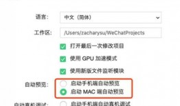 最新爆料刊小程序,小程序背后的秘密与未来趋势