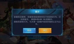 王者荣耀奇葩爆料视频,揭秘幕后奇闻，奇葩爆料视频大揭秘！