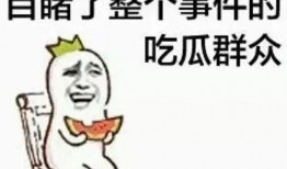娱乐吃瓜君爆料遛鸟,遛鸟背后的明星趣事大揭秘