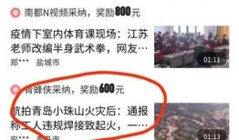 视频收益爆料,揭秘热门博主如何月入过万