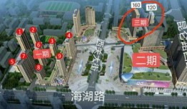 西宁红星爆料最新消息今天,今日突发事件追踪，详情即将揭晓！