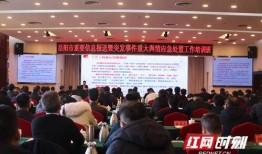 岳阳舆情爆料最新消息,突发事件引发热议，详情即将揭晓