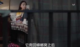 嘉琪姐姐爆料了吗视频,精彩幕后花絮大公开