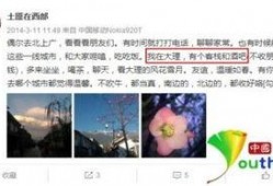 云南大理新闻爆料事件,揭秘事件背后真相