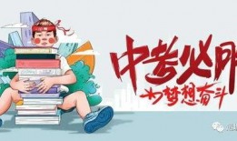飞鹤最新爆料消息视频大全,揭秘幕后真相与精彩瞬间