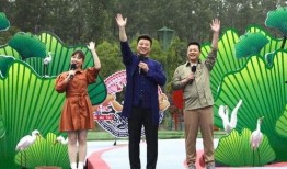 最近王者爆料新闻事件视频,最新事件视频揭秘，精彩瞬间不容错过！