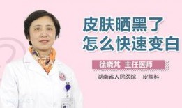 医生皮肤爆料视频大全,视频大全深度解析