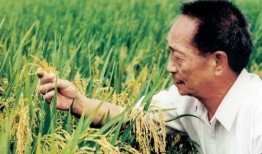 实事爆料袁隆平爷爷视频,揭秘杂交水稻育种传奇