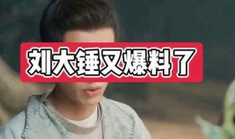 刘大锤爆料景甜视频播放,网络热议不断