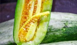 吃瓜网红是真的,吃瓜网红背后的真相